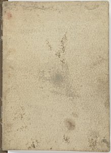 Codice del volo degli uccelli, c. 1505-06 da Leonardo da Vinci