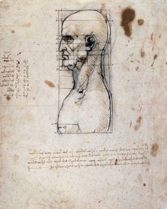 Busto di un uomo di profilo con misurazioni e note da Leonardo da Vinci