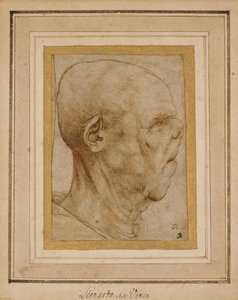 Caricatura della testa di un vecchio, di profilo a destra, c.1507 da Leonardo da Vinci