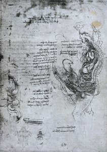 Coito di uomo e donna emisezionati, copia facsimile da Leonardo da Vinci