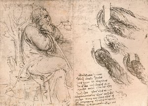 Disegno che illustra la rappresentazione dei capelli che cadono in riccioli, c1472-c1519 1883 da Leonardo da Vinci