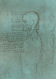 Disegno che illustra la teoria delle proporzioni della figura umana, c1472-c1519, 1883 da Leonardo da Vinci