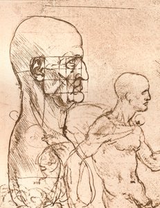 Disegno che illustra la teoria delle proporzioni della figura umana, c1472-c1519, 1883 da Leonardo da Vinci