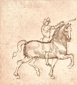 Disegno di un cavallo al passo, c1472-c1519 1883 da Leonardo da Vinci