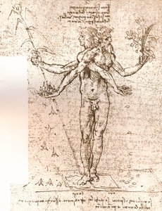 Disegno di una composizione allegorica, c1472-c1519 da Leonardo da Vinci