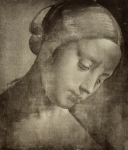 Testa femminile, disegno di Leonardo da Vinci. Gabinetto dei Disegni e delle Stampe, Galleria degli Uffizi, Firenze da Leonardo da Vinci