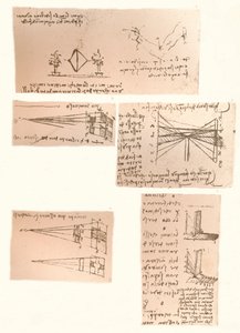 Cinque disegni che illustrano la teoria della pittura, c. 1472-c. 1519, 1883 da Leonardo da Vinci