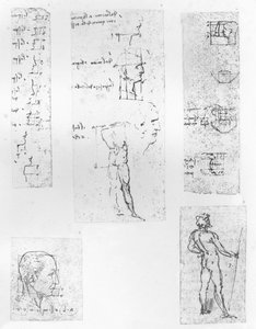 Cinque disegni che illustrano la teoria delle proporzioni della figura umana, c1472-c1519 1883 da Leonardo da Vinci