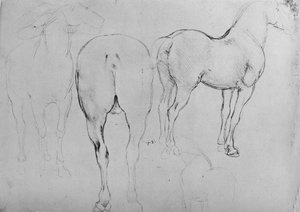 Quattro schizzi di cavalli, c1480 da Leonardo da Vinci