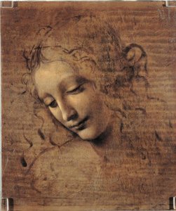 Testa di donna da Leonardo da Vinci
