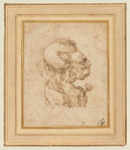  da Leonardo da Vinci