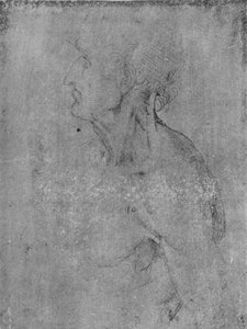 Testa e busto di un vecchio a sinistra da Leonardo da Vinci