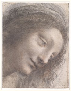 Testa della Vergine, 1508-1512
