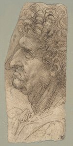  da Leonardo da Vinci