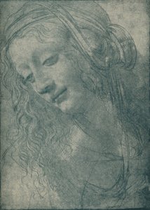 Testa di una Vergine, XV secolo, 1932