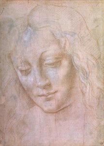 Testa di una donna