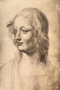 Testa di una giovane donna