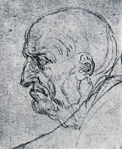Testa di un vecchio, 1913