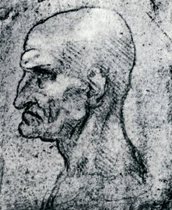 Testa di un vecchio