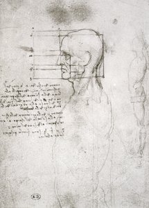 Testa di un Vecchio in Profilo, copia facsimile da Leonardo da Vinci