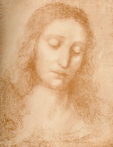 Testa del Redentore, XV secolo, 1932 da Leonardo da Vinci