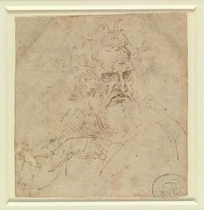 Testa di un anziano dall’aspetto severo con il braccio destro da Leonardo da Vinci