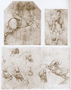 Cavaliere