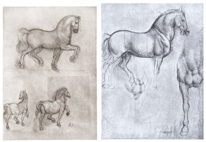 Cavalli, c1490-1510 da Leonardo da Vinci