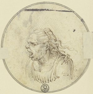 Vignetta raffigurante una donna con la bocca aperta, busto, di profilo verso sinistra da Leonardo da Vinci