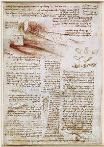 Leonardo da Vinci - RCIN 912660, Studi sull