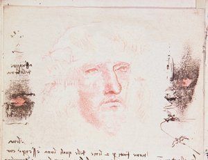 Note sui cambiamenti di direzione in volo, pagina manoscritta da Codici Rari III 35.2, fol. 10v da Trattato sul volo degli uccelli, 1505 da Leonardo da Vinci