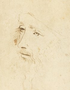 Ritratto di Leonardo da Vinci, ca 1518 da Leonardo da Vinci,