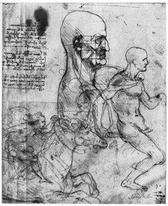 Profilo della testa di un uomo e studi di due cavalieri, c1490 e c1504 da Leonardo da Vinci
