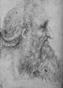 Profilo di un vecchio barbuto a destra da Leonardo da Vinci