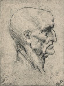 Profilo a destra di un uomo anziano calvo, c. 1480