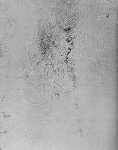 Profilo a destra di un vecchio da Leonardo da Vinci
