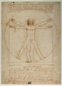 Schema delle proporzioni del corpo umano secondo Vitruvio da Leonardo da Vinci