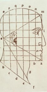 Studio delle proporzioni della testa umana da Leonardo da Vinci