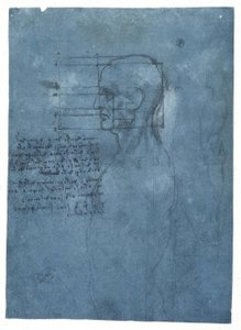 Studio delle proporzioni di una testa maschile di profilo da Leonardo da Vinci