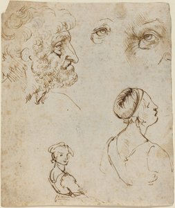 Foglio di studi