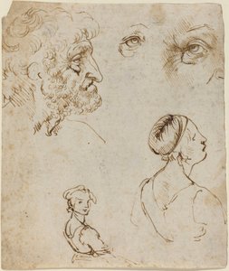 Foglio di studi [recto] da Leonardo da Vinci