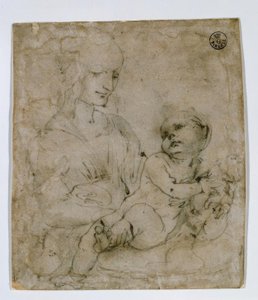 Studio per la Madonna con gatto da Leonardo da Vinci