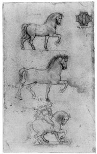 Studi per il Monumento Trivulzio, c1508 1954 da Leonardo da Vinci