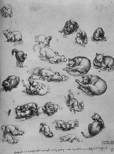 Studi di gatti e di un drago, c1480