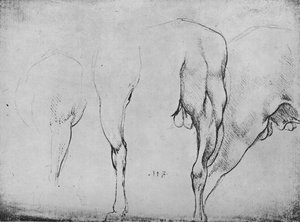 Studi delle gambe dei cavalli, c1480 1945 da Leonardo da Vinci