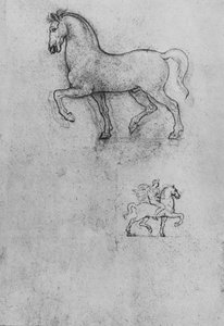 Studi di un cavallo e di un cavallo e cavaliere, c1480 1945 da Leonardo da Vinci