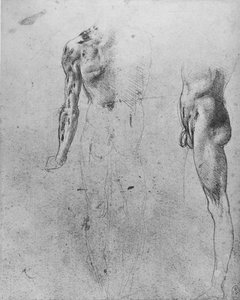 Studi di un uomo nudo visto da dietro e di lato, c1480