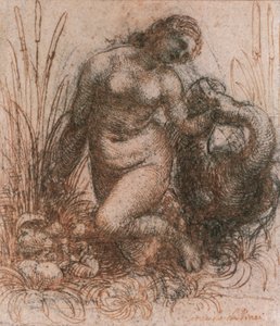 Studio per Leda e il cigno da Leonardo da Vinci