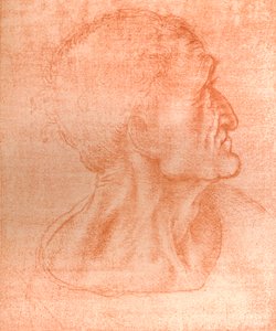 Studio per la testa di Giuda in `L