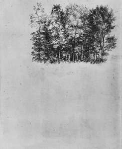 Studio di un boschetto, c1480, 1945 da Leonardo da Vinci